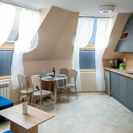 Apartment Design Loft In The Center Sofia