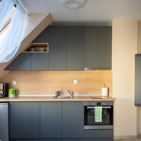 Apartment Design Loft In The Center